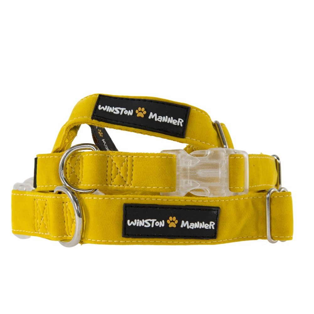 Winston Manner Designer Dog Collar in Golden Yellow